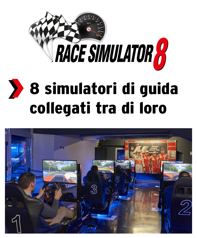 RACE SIMULATOR 8